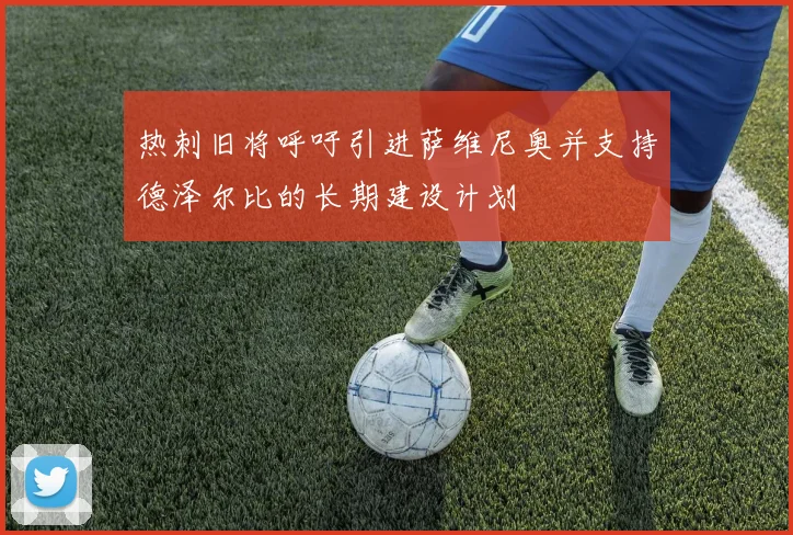 热刺旧将呼吁引进萨维尼奥并支持德泽尔比的长期建设计划